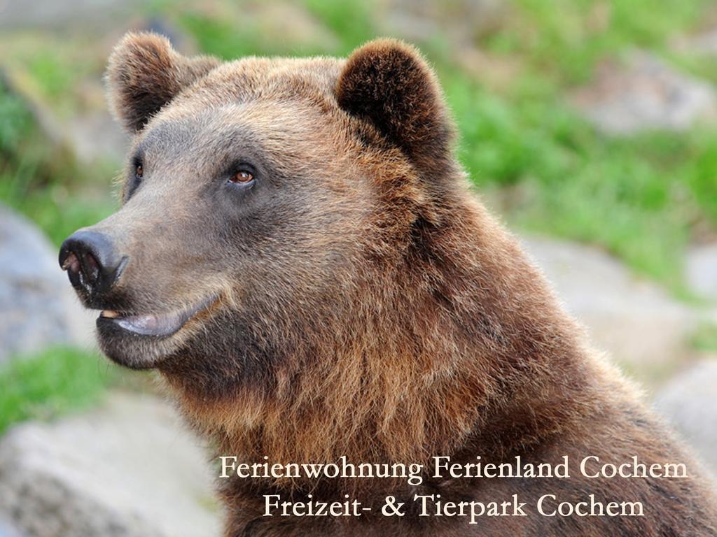 Apartamento Ferienland Cochem Bruttig-Fankel