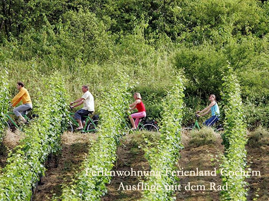 Ferienland Cochem * Bruttig-Fankel
